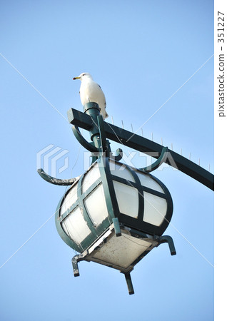 setana, avian, hokkaido 351227