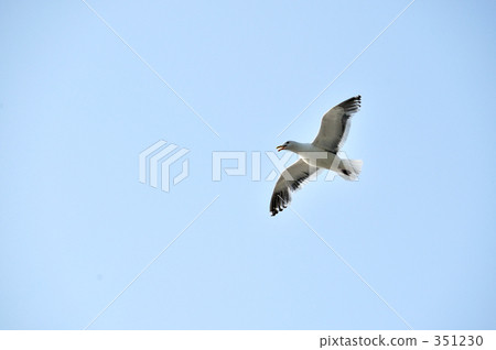 setana, avian, hokkaido 351230