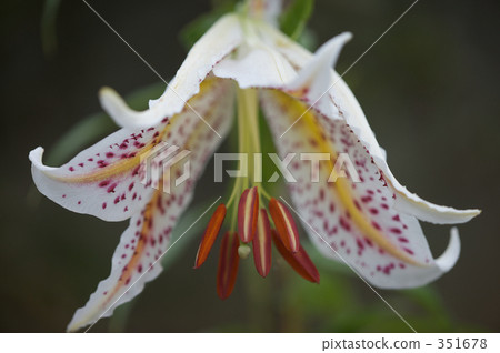 bright, cheerful, sunshiny 351678