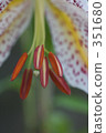 bright, cheerful, sunshiny 351680