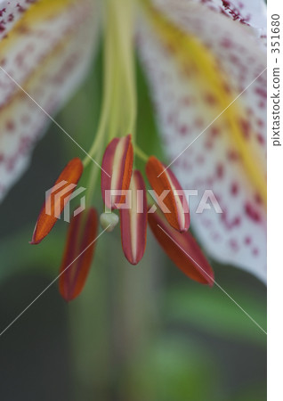 bright, cheerful, sunshiny 351680