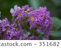 cheerful, sunshiny, vibrant 351682