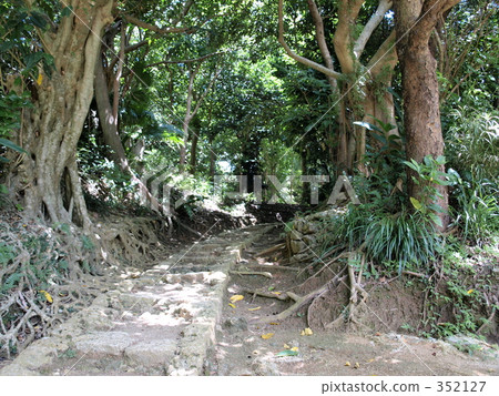 舊路 舊路 352127