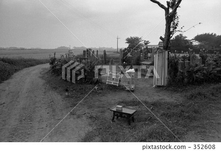 昭和的紀錄·Nobehama Showa 479 2597 352608