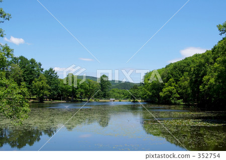 mirrored, reflect, reflection 352754