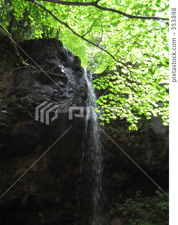 瀑布和年輕秋葉 353898