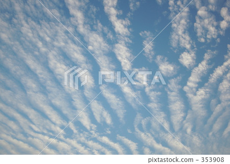 雲 353908