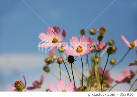 秋天的天空和宇宙 353910