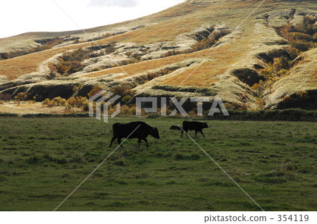 大山和牧場 354119