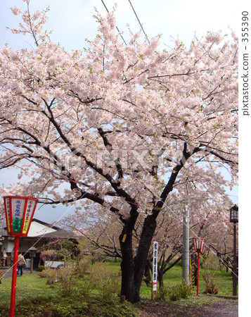 nippon, daytime, sight-seeing area 355390