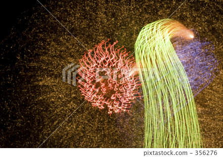 動態的夜空 356276