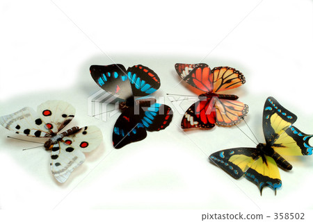 Image of a butterfly 358502