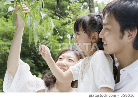 生態學 生態 綠色 359016