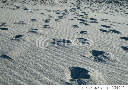 沙灘的腳印 359043