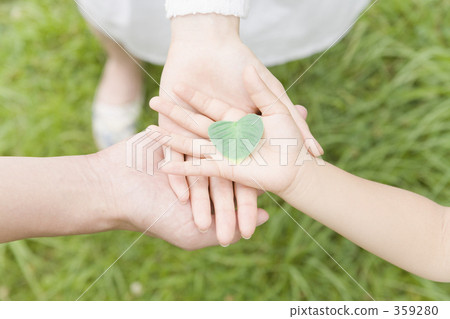 葉子 樹葉 心 359280