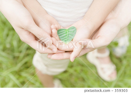 interaction, leaf, parenthood 359303