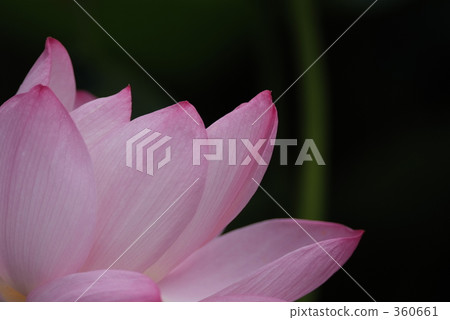 舉起 向上 升起 360661