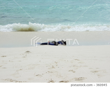 遺失的文章 遺失的文章 360945