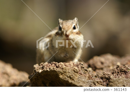 In the adventure? 361143