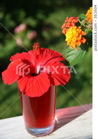 Drink Drink 361604