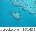 心葉 心臟礁 哈密​​爾頓島 361638