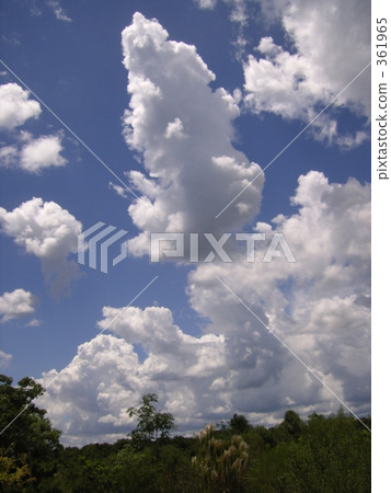 尼古拉 阿根廷 阿根廷人 361965