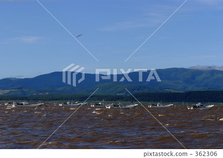 Shijimi fishing 362306