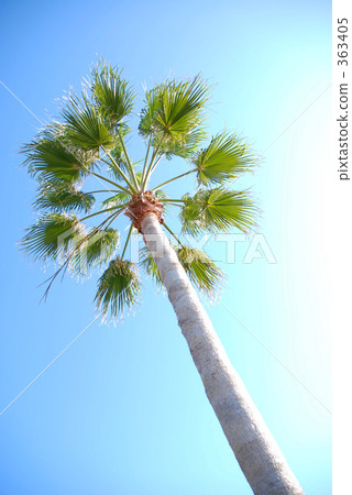 Tropical country 363405