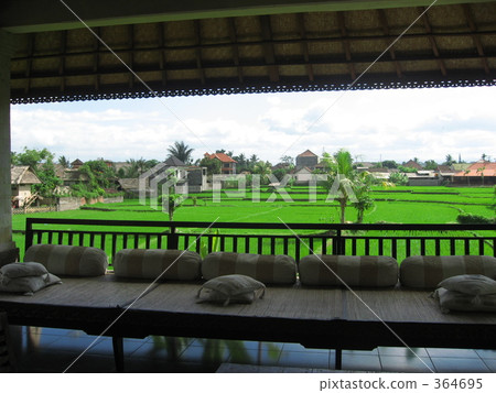 Rice field in Bali Rice field in Bali 364695