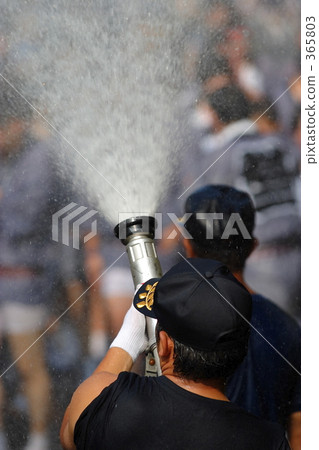 夏季節日七 365803