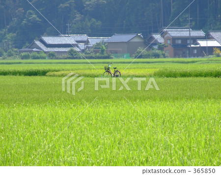 被遺忘的自行車 被遺忘的自行車 365850