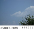 夏天·天·天空 366244