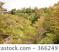 樹木	 366249