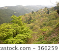 自然風光 366259