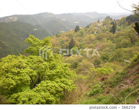 Natural scenery Natural scenery 366259
