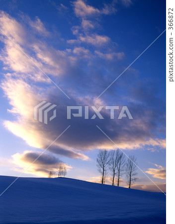 凍結的字段 格羅夫的樹木 廣闊的 366872