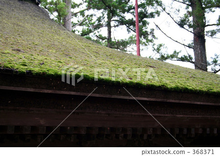 與青苔的風景 與青苔的風景 368371