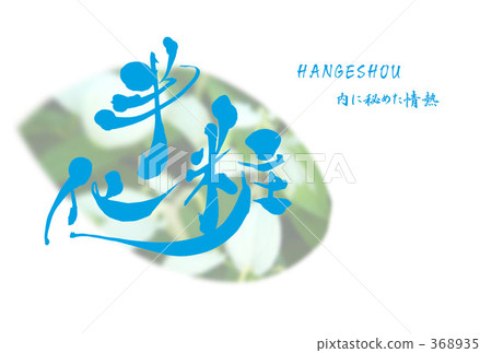 半化妝花語 368935