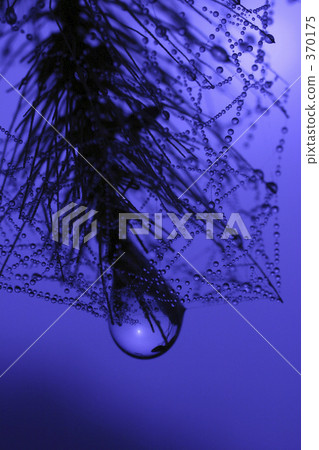 In the sea called fog 370175