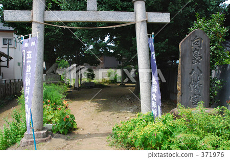 栃木步行:Mukojima八幡宮 栃木步行:Mukojima八幡宮 371976