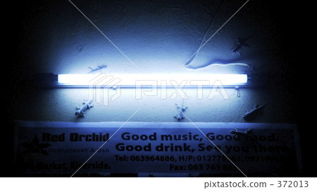 藍燈 藍燈 372013