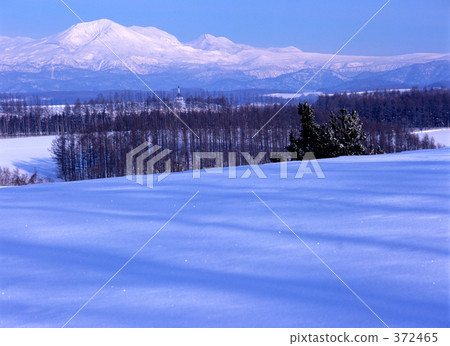 雪山 樹木 凍結的字段 372465