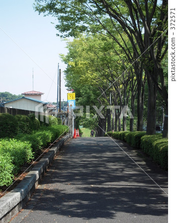 路邊 372571