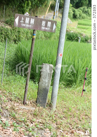 指南 指南 372893