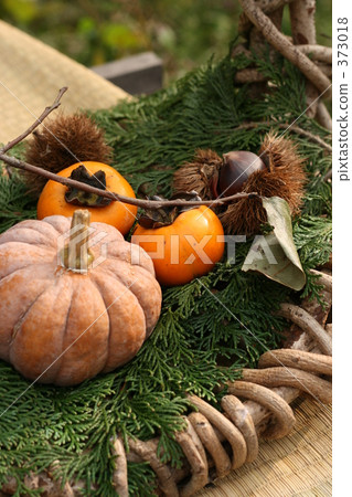 Fall of Harvest 373018