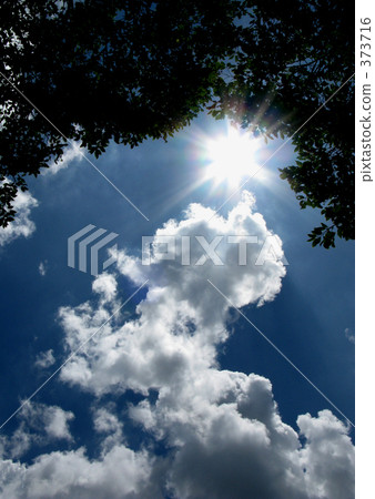 Girataku夏日的陽光 373716