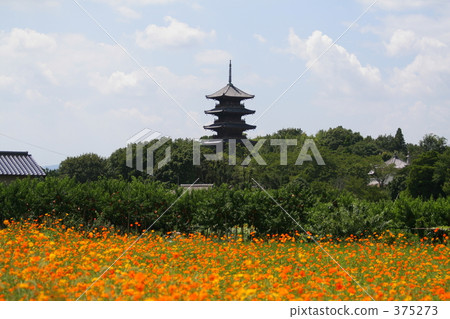 Flower garden and five-storied pagoda 375273