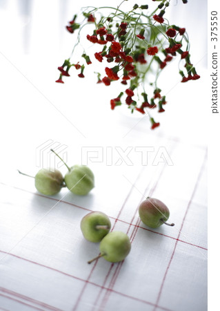 公主蘋果和紅色花 375550