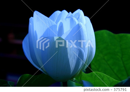 潛力 潛力 375791