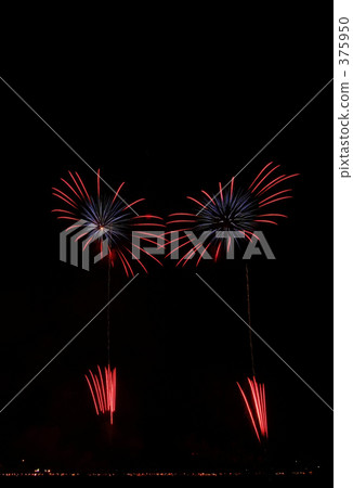 Fireworks of flowers 375950